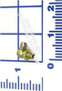 Kelley 127-007