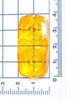Pentalift 060-0512