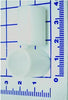 Serco 600-6138